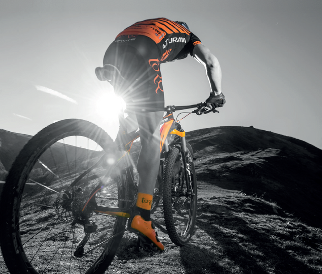 Torq Event Nutrition & Training Guide