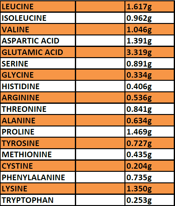 Chocolate Mint Recovery Drink - 1.5kg EcoSack